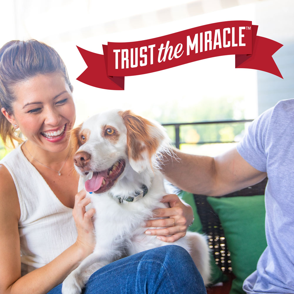 Nature's miracle set shop in stain destroyer dog